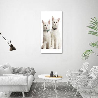 Verticale foto op canvas Twee witte katten