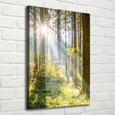 Verticaal canvasschilderij De zon in het bos