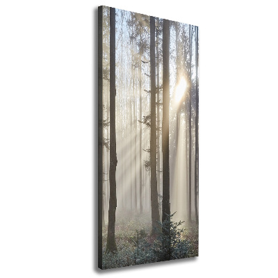 Verticaal canvasschilderij Mist in het bos