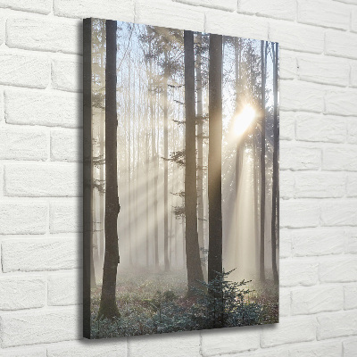 Verticaal canvasschilderij Mist in het bos