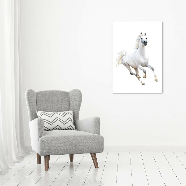 Verticale canvasfoto Een wit paard in galop
