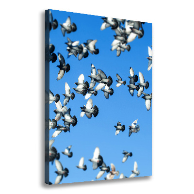 Verticale foto op canvas Duiven in de lucht