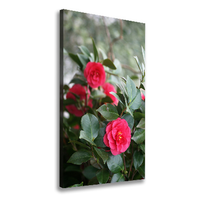 Verticaal canvasschilderij Camelia