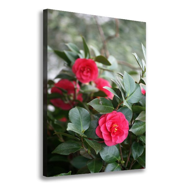 Verticaal canvasschilderij Camelia