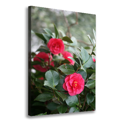 Verticaal canvasschilderij Camelia