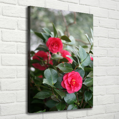 Verticaal canvasschilderij Camelia