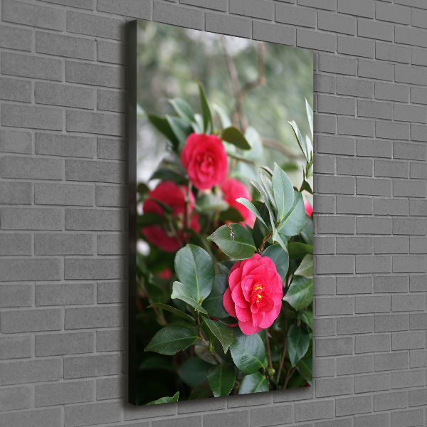 Verticaal canvasschilderij Camelia