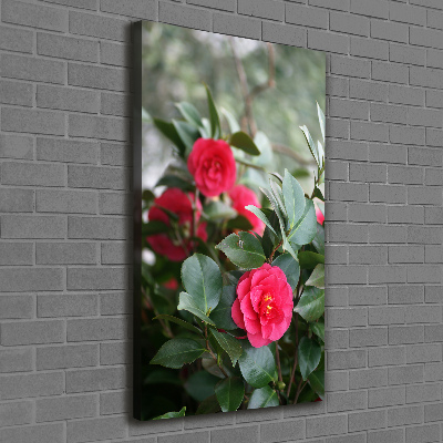 Verticaal canvasschilderij Camelia