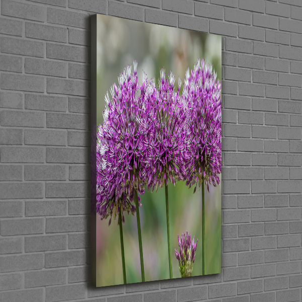 Verticaal schilderij op canvas Knoflookbloemen