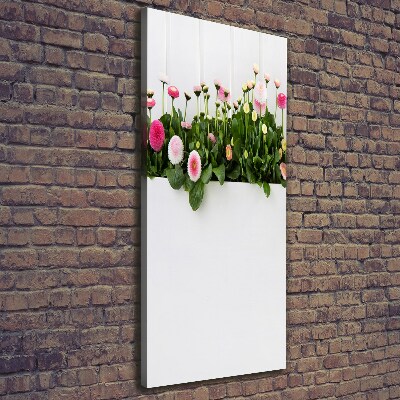 Verticale foto op canvas Roze madeliefjes