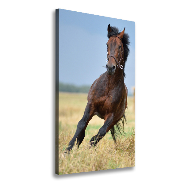 Verticaal canvasschilderij Een paard in een veld