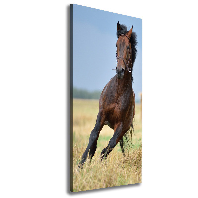 Verticaal canvasschilderij Een paard in een veld