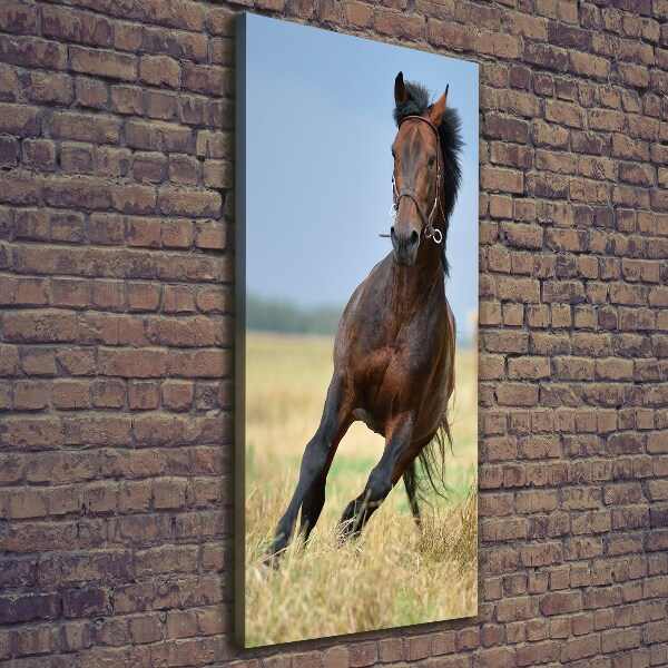Verticaal canvasschilderij Een paard in een veld