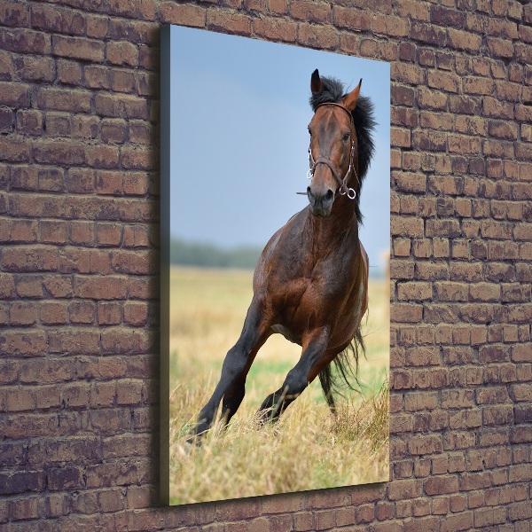 Verticaal canvasschilderij Een paard in een veld