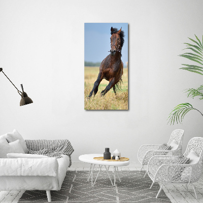 Verticaal canvasschilderij Een paard in een veld