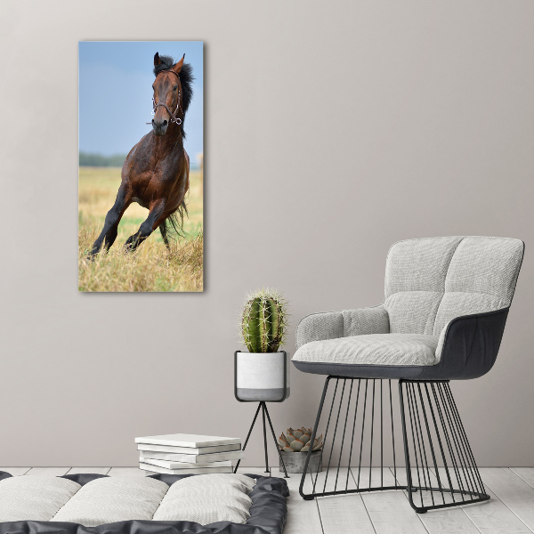 Verticaal canvasschilderij Een paard in een veld