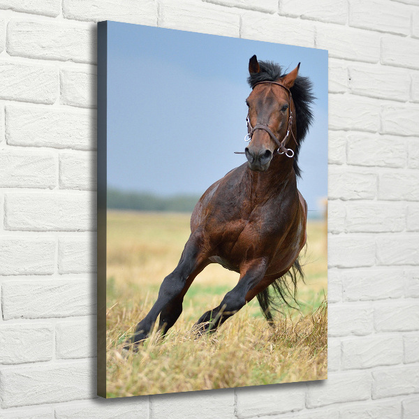Verticaal canvasschilderij Een paard in een veld