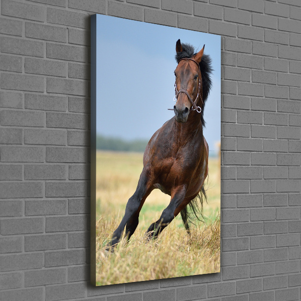 Verticaal canvasschilderij Een paard in een veld