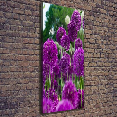 Verticale canvasfoto Knoflookbloemen
