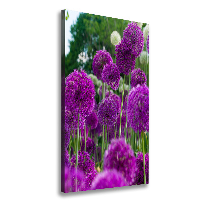 Verticale canvasfoto Knoflookbloemen