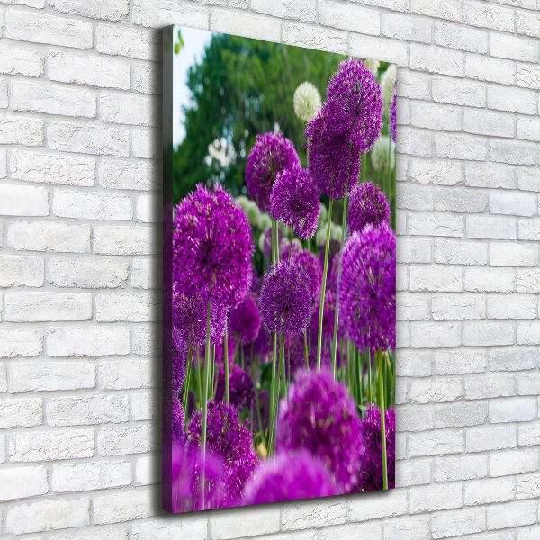 Verticale canvasfoto Knoflookbloemen