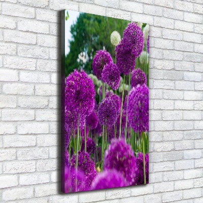 Verticale canvasfoto Knoflookbloemen