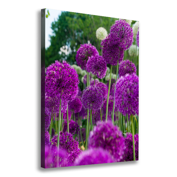 Verticale canvasfoto Knoflookbloemen