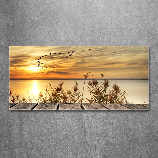 Glazen schilderij Steiger aan het meer