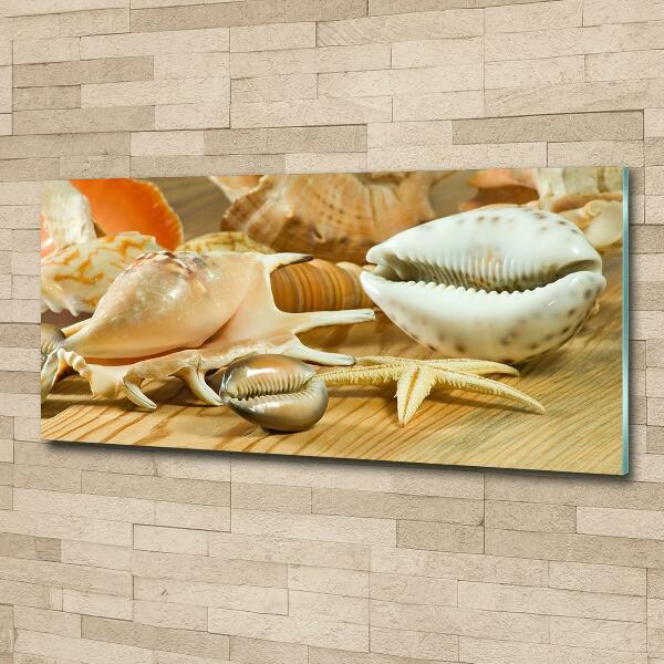 Schilderij op glas Schelpen op hout