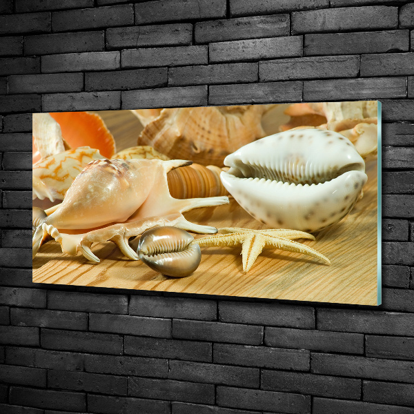 Schilderij op glas Schelpen op hout