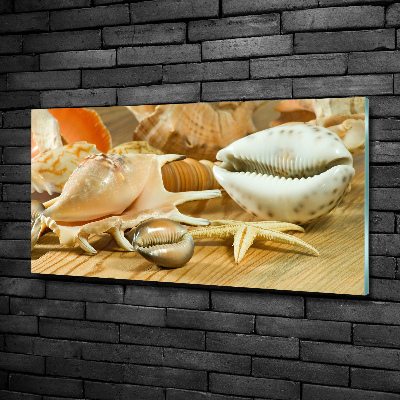 Schilderij op glas Schelpen op hout