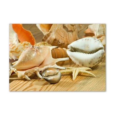 Schilderij op glas Schelpen op hout
