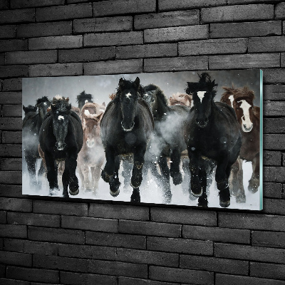 Foto schilderij op glas Paarden in galop