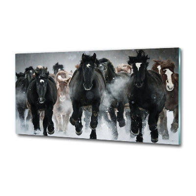 Foto schilderij op glas Paarden in galop