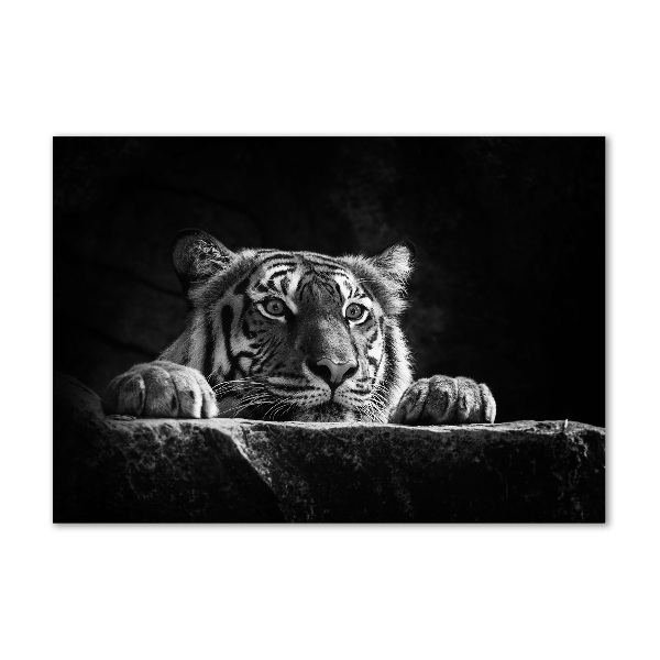 Schilderij op glas Tijger