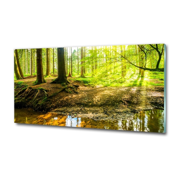 Glazen schilderij Zonnestralen in het bos