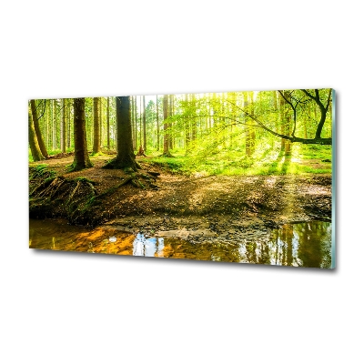 Glazen schilderij Zonnestralen in het bos