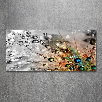 Foto schilderij op glas Paardenbloemzaden