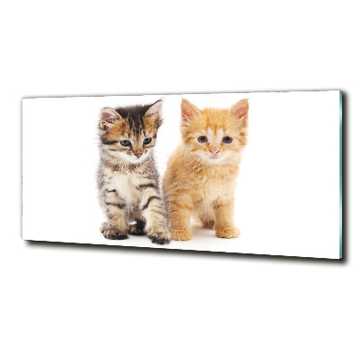 Schilderij glas Bruine en rosse kat