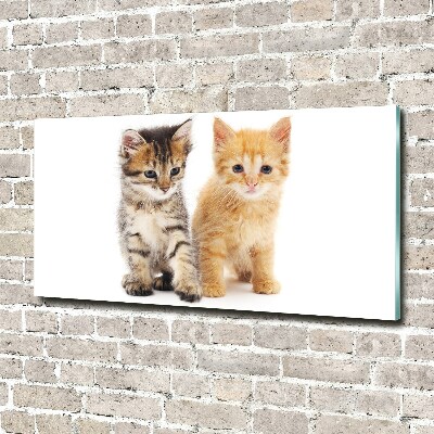 Schilderij glas Bruine en rosse kat