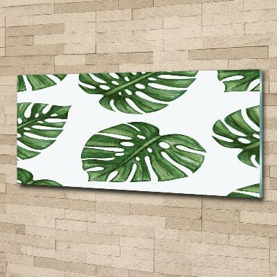 Glazen schilderij Monstera