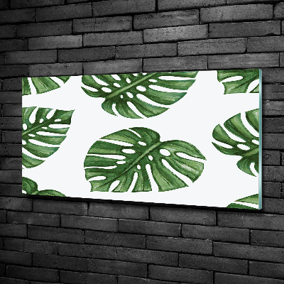 Glazen schilderij Monstera