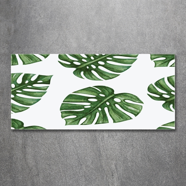 Glazen schilderij Monstera