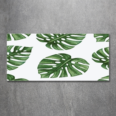 Glazen schilderij Monstera