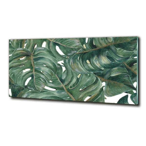 Schilderij op glas Monstera