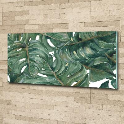 Schilderij op glas Monstera
