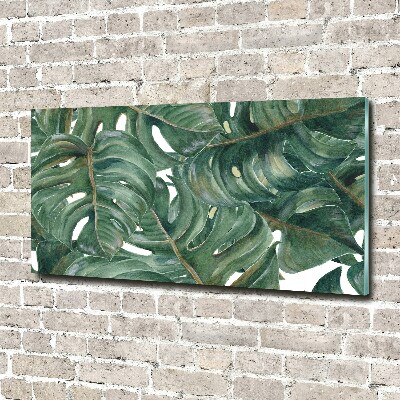 Schilderij op glas Monstera