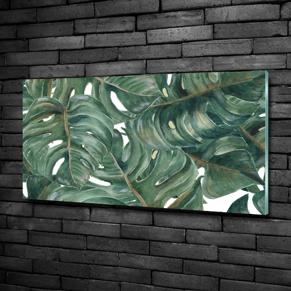 Schilderij op glas Monstera