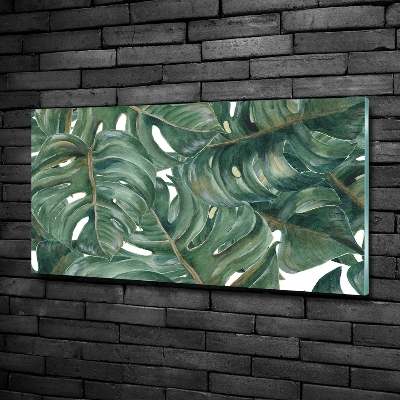 Schilderij op glas Monstera