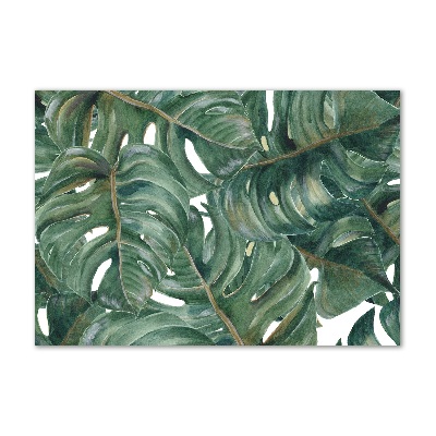 Schilderij op glas Monstera
